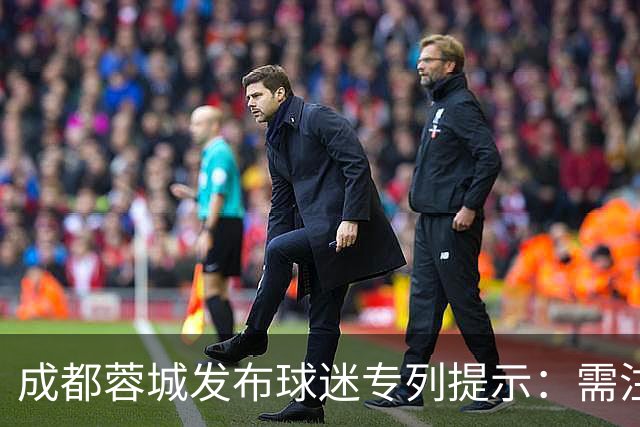 成都蓉城发布球迷专列提示：需注意人身财产安全，建议购买保险